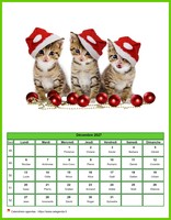 Calendrier de décembre 2027 chats