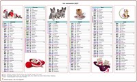 Calendrier 2027 semestriel chats