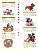 Calendrier 2027 semestriel chiens format portrait