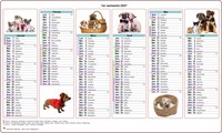 Calendrier 2027 semestriel chiens