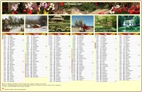 Calendrier 2027 semestriel en colonnes avec une photo différente chaque mois