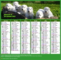 Calendrier 2027 semestriel style calendrier des postes